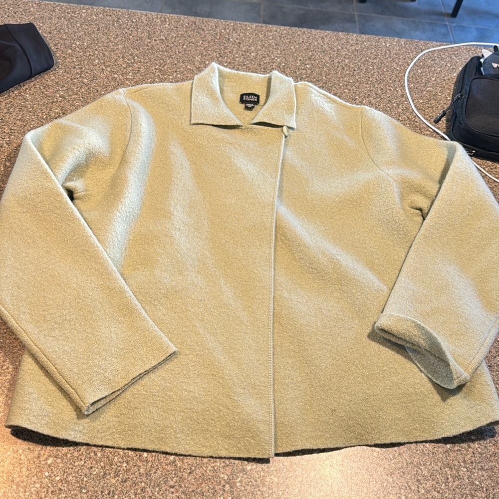 Eileen Fisher green Sweater